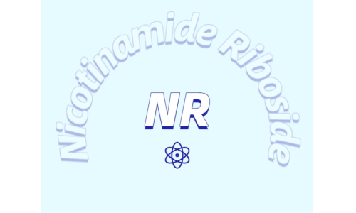 煙酰胺核糖氯化物是如何增加NDA+水平的？