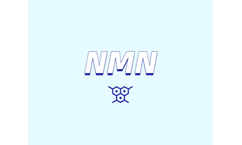 NMN與NR的差異和區別
