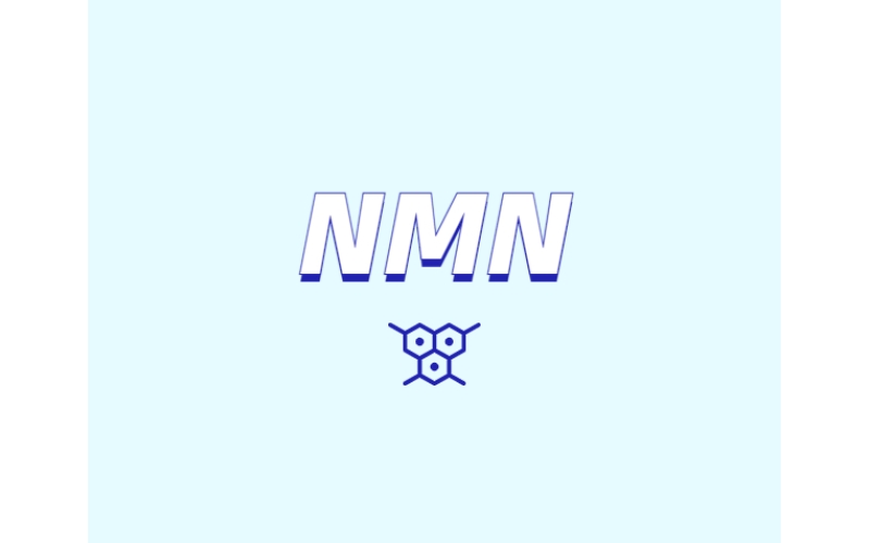 NMN與NR的差異和區別